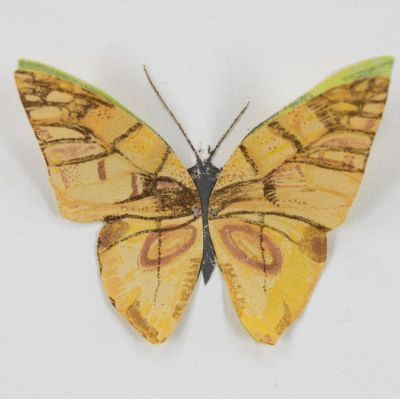 Open Press Project Award, Lujiang Li, NY, USA, Flying Butterfly, 2021, Lithograph and screenprint