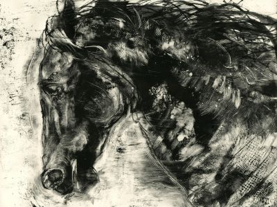Midnight Ride by Carol Fabricatore