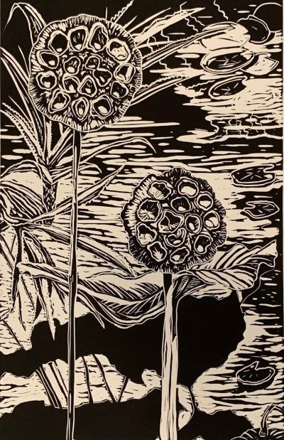 Lily Pods by Robin Fruchter